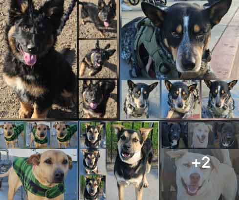 Monday On The Move 1-19-2026